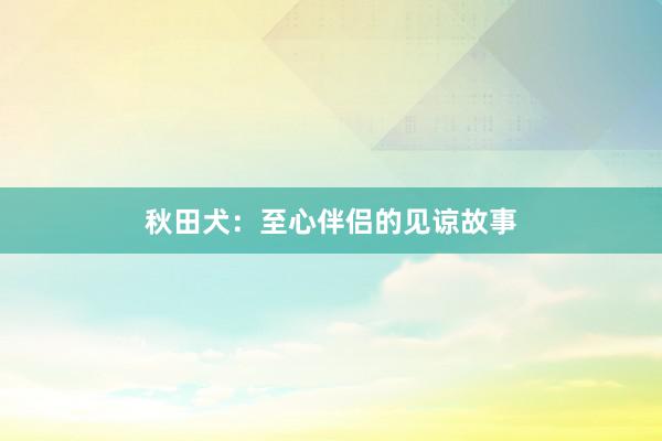 秋田犬：至心伴侣的见谅故事