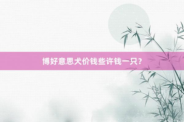 博好意思犬价钱些许钱一只？