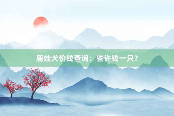 鹿娃犬价钱查询：些许钱一只？
